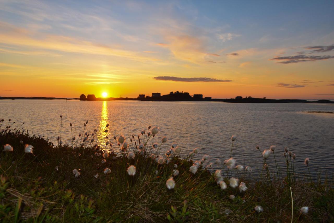 Bud Camping ภายนอก รูปภาพ